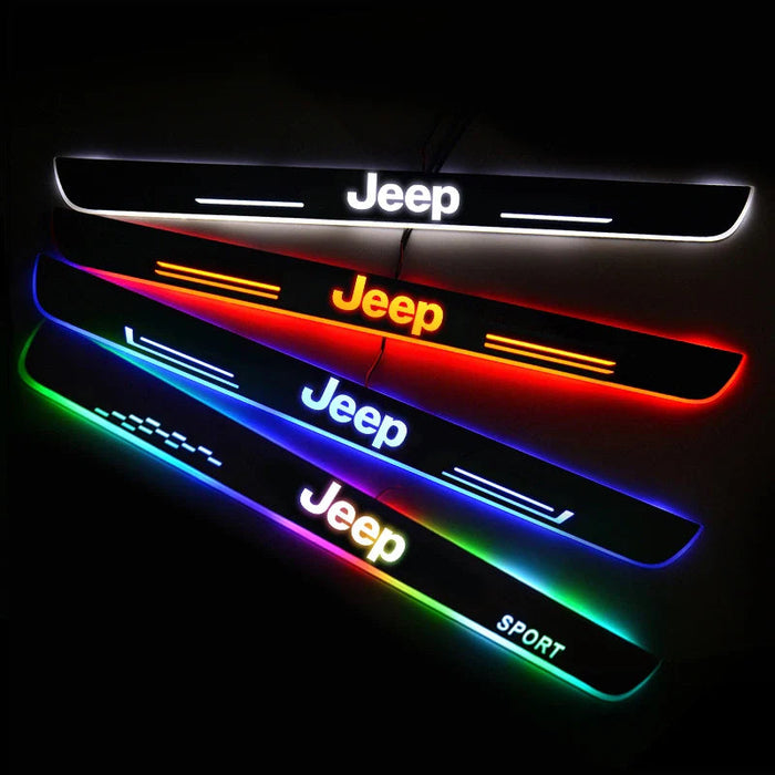 Custom Illuminated LED Door Panels