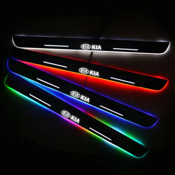 Custom Illuminated LED Door Panels