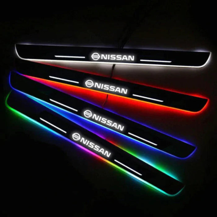 Custom Illuminated LED Door Panels