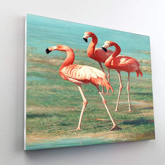 Paint By Numbers Kit - Flamingos