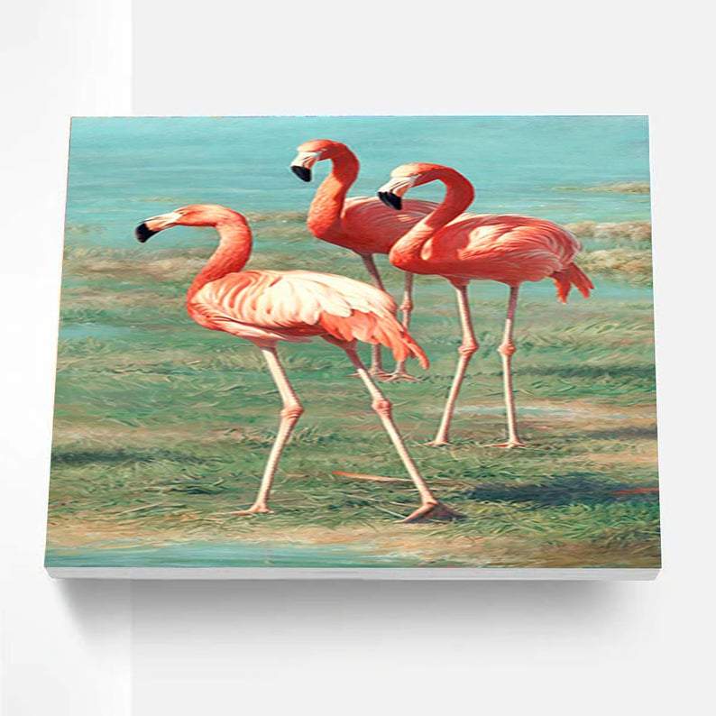 Paint By Numbers Kit - Flamingos