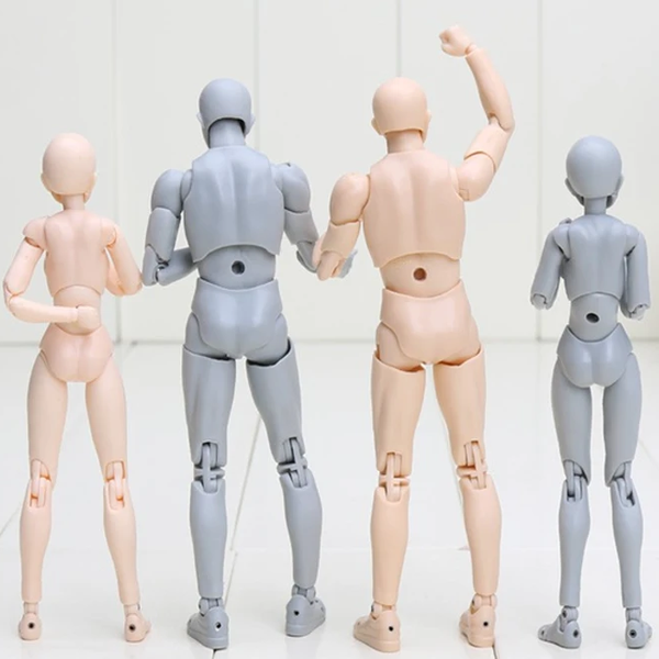 Official Body Kun and Body Chan Model Figures for Artists