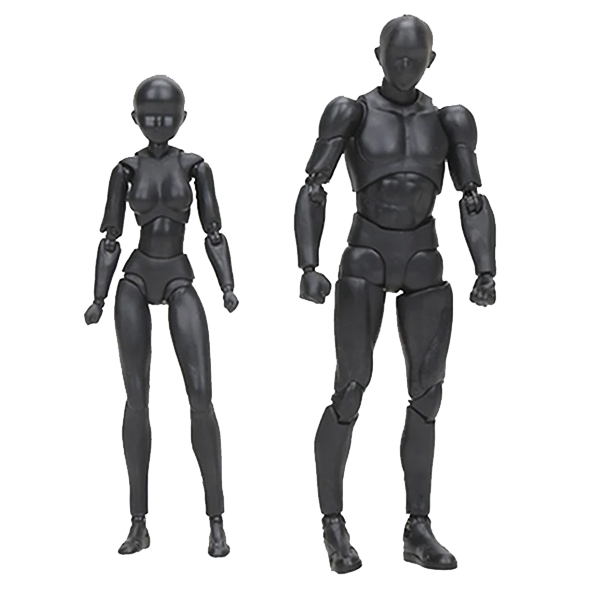 Official Body Kun and Body Chan Model Figures for Artists