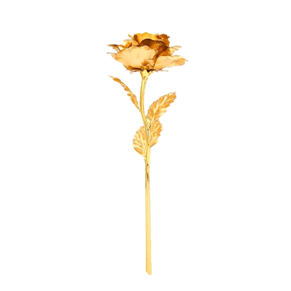 24K Gold Dipped Real Rose with Gift Box