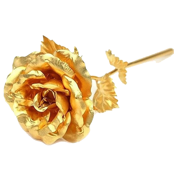 24K Gold Dipped Real Rose with Gift Box